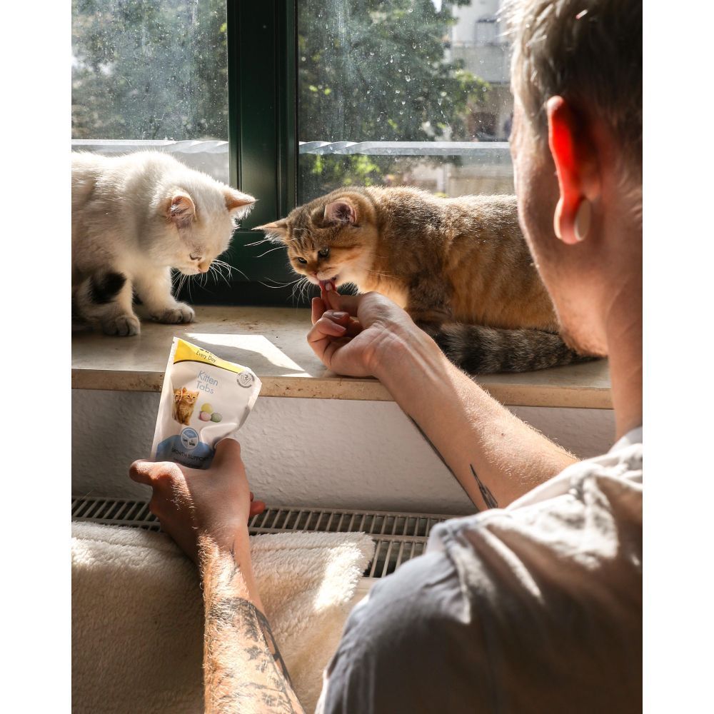 Лакомства для котят GimCat Kitten Tabs 40 г - ассорти Лакомства для котят GimCat Kitten Tabs 40 г - ассорти