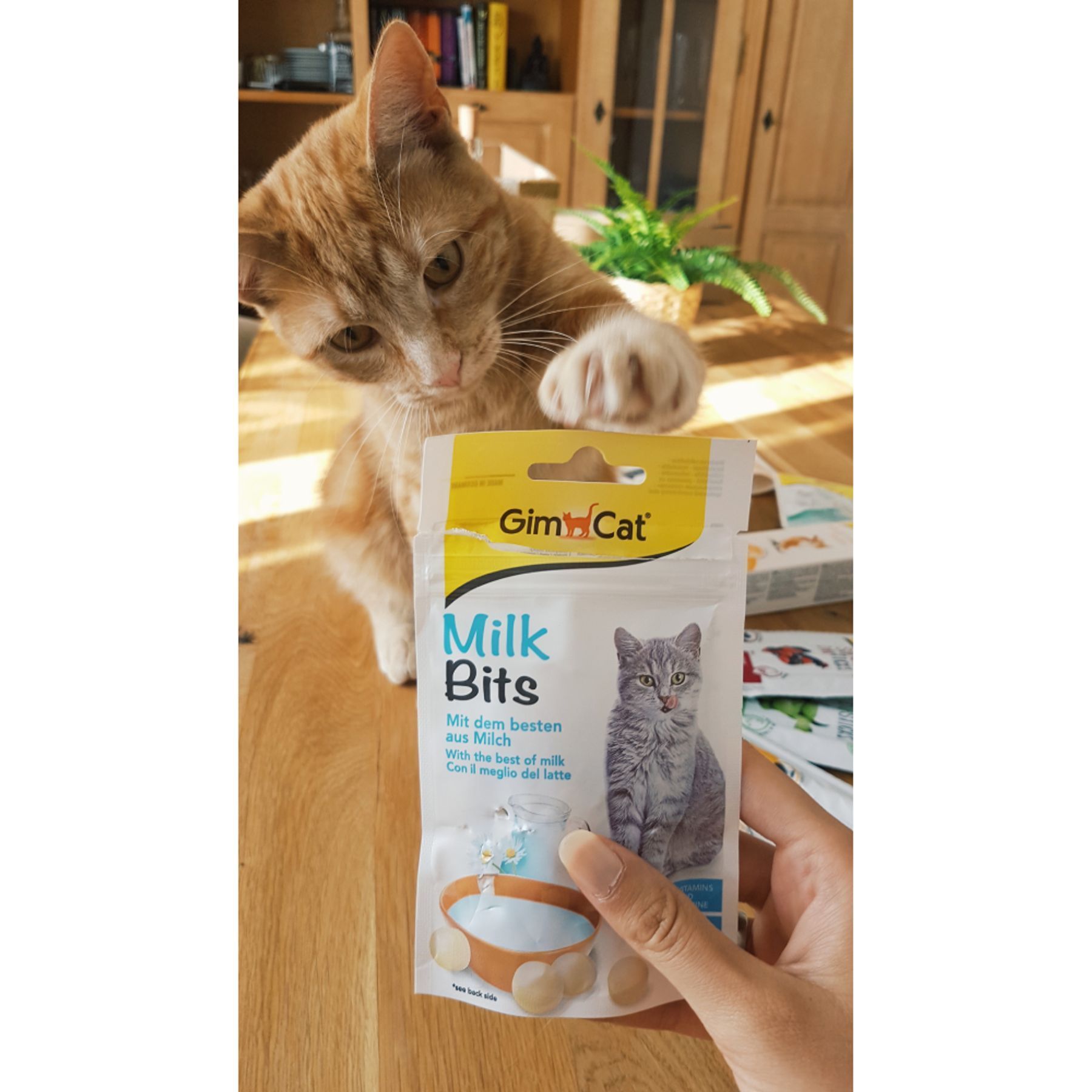 Ласощі для котів GimCat Milk Bits 40 г - молоко Ласощі для котів GimCat Milk Bits 40 г - молоко