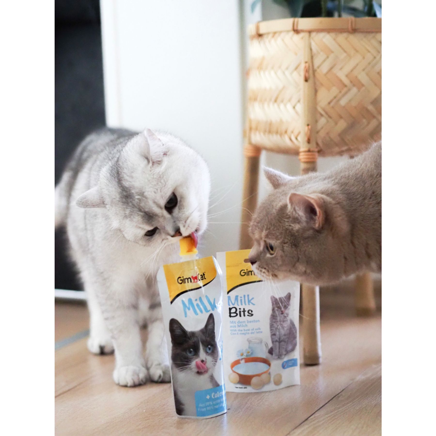 Ласощі для котів GimCat Milk Bits 40 г - молоко Ласощі для котів GimCat Milk Bits 40 г - молоко