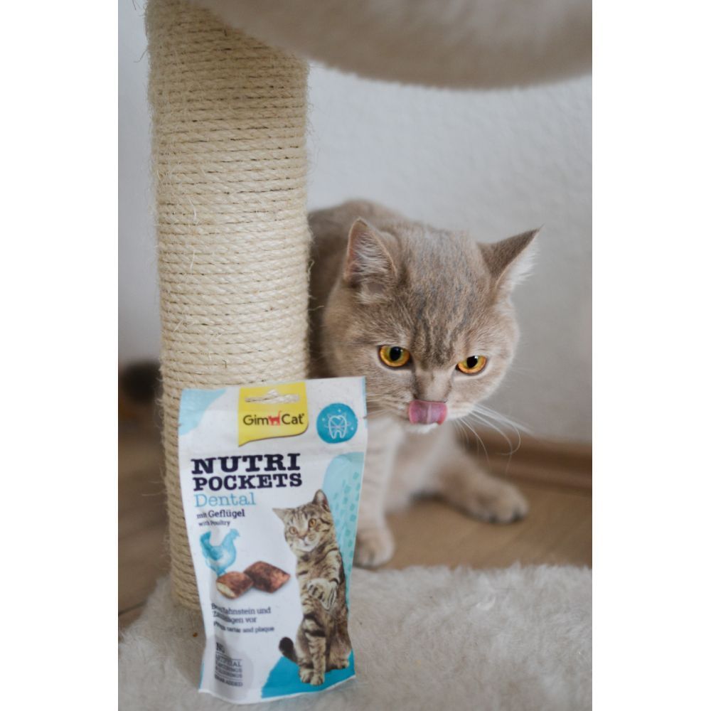 Ласощі для котів GimCat Nutri Pockets Dental 60 г - домашня птиця Ласощі для котів GimCat Nutri Pockets Dental 60 г - домашня птиця
