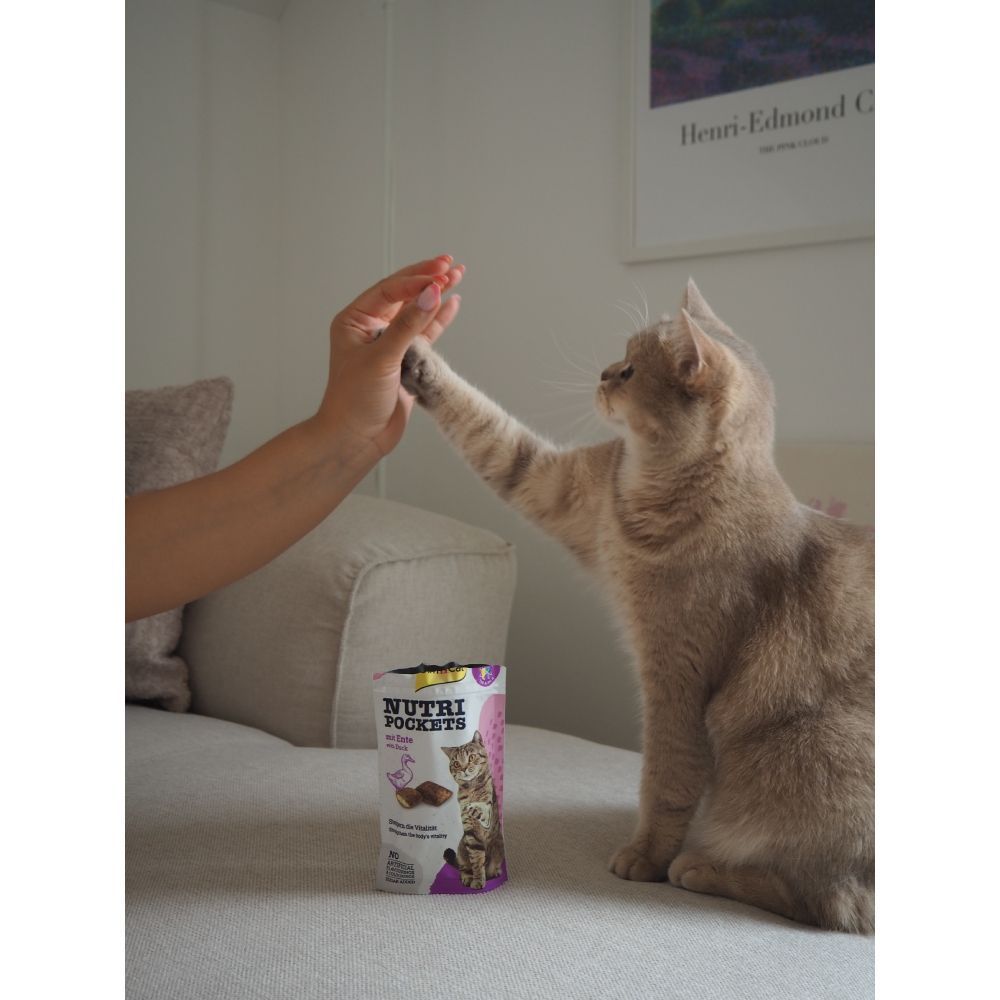 Ласощі для котів GimCat Nutri Pockets 60 г - качка