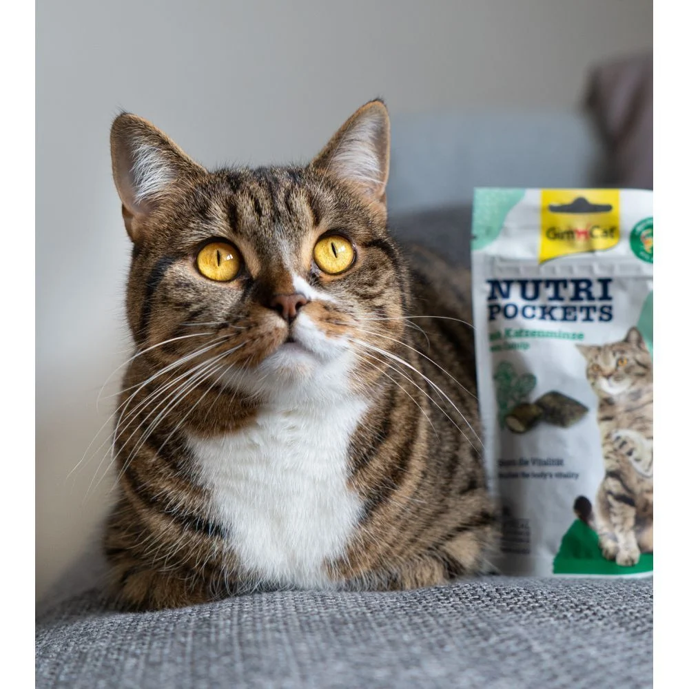 Ласощі для котів GimCat Nutri Pockets 60 г - котяча м'ята та вітаміни Ласощі для котів GimCat Nutri Pockets 60 г - котяча м'ята та вітаміни
