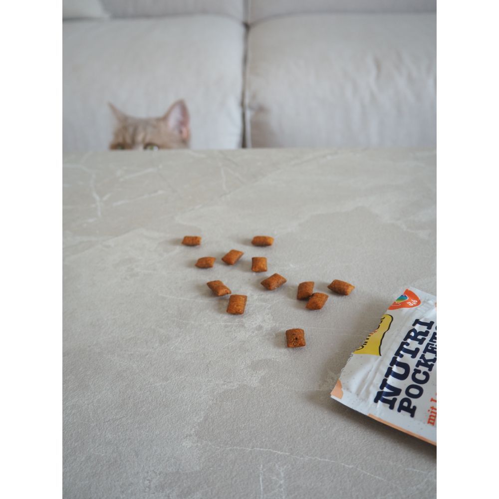 Лакомства для кошек GimCat Nutri Pockets 60 г - лосось