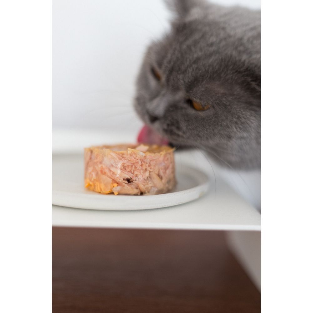 Вологий корм для котів GimCat Shiny Cat 70 г - тунець Вологий корм для котів GimCat Shiny Cat 70 г - тунець