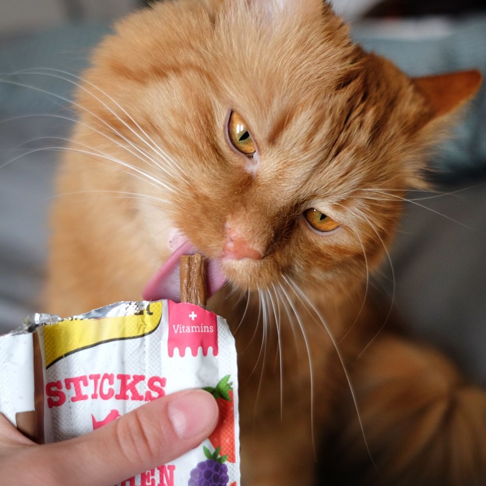 Лакомства для кошек GimCat Superfood Duo-Sticks 3 шт. — курица и ягоды Лакомства для кошек GimCat Superfood Duo-Sticks 3 шт. — курица и ягоды