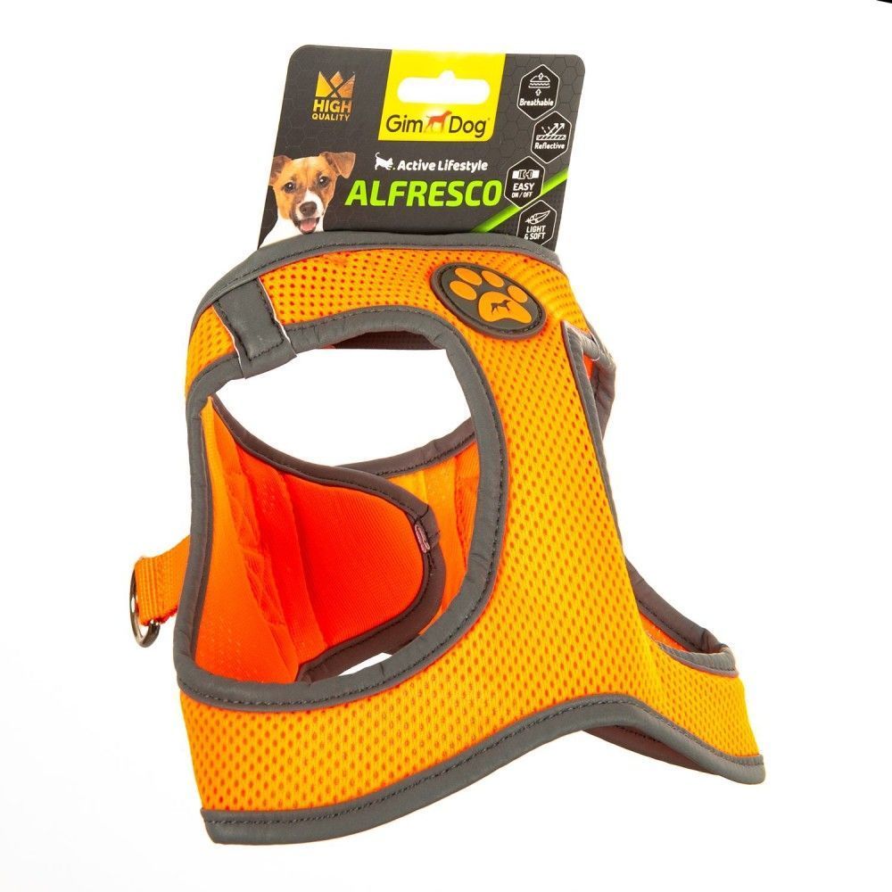 GimDog Alfresco шлея для собак S - помаранчевий