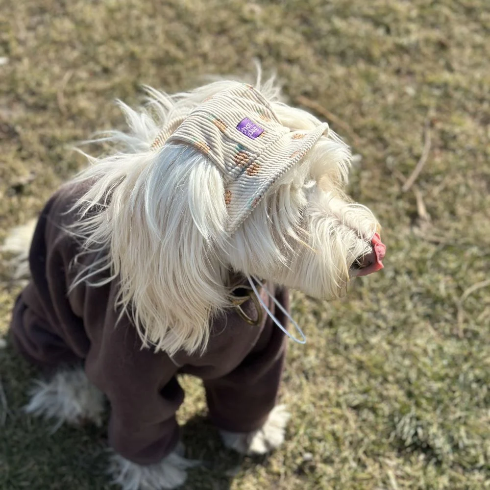 Панама для собак Hat-Dog Ананас S - бежевий Панама для собак Hat-Dog Ананас S - бежевий