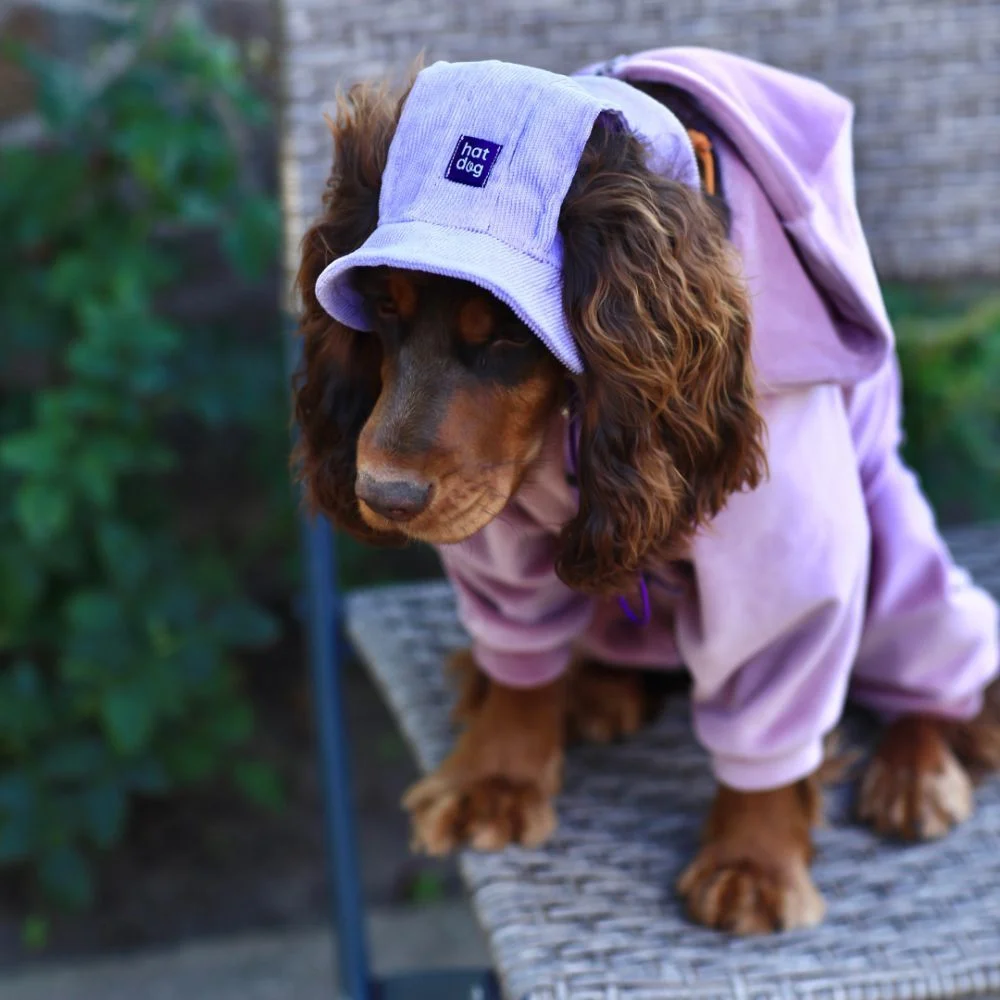 Панама для собак Hat-Dog М - лавандовий Панама для собак Hat-Dog М - лавандовий