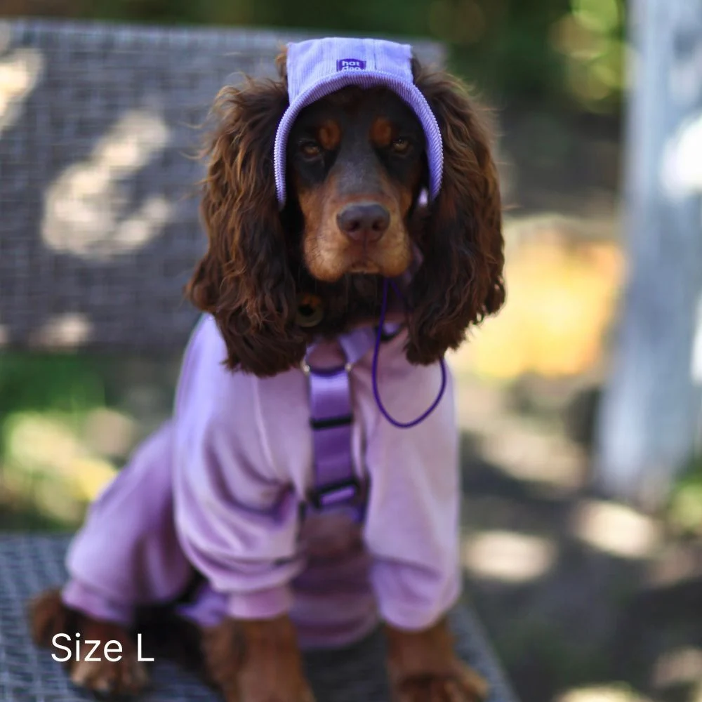 Панама для собак Hat-Dog М - лавандовий Панама для собак Hat-Dog М - лавандовий