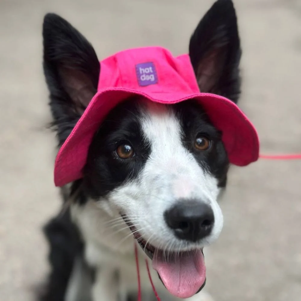 Панама для собак Hat-Dog S - малиновий Панама для собак Hat-Dog S - малиновий