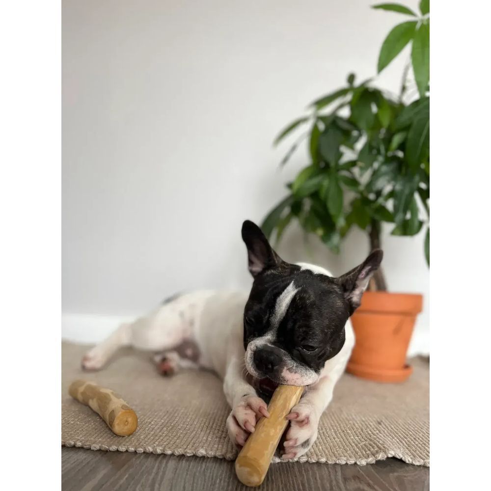 HealthyDoggo Кавова палиця іграшка для собак XS - коричневий HealthyDoggo Кавова палиця іграшка для собак XS - коричневий