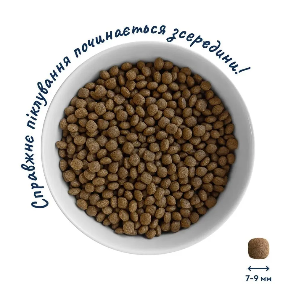 Сухий корм для собак Home Food Active Mini Adult 700 г - ягнятина та рис Сухий корм для собак Home Food Active Mini Adult 700 г - ягнятина та рис