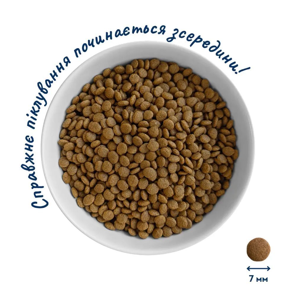 Home Food Kitten 1-12 months сухой корм для котят 1,6 кг - курица
