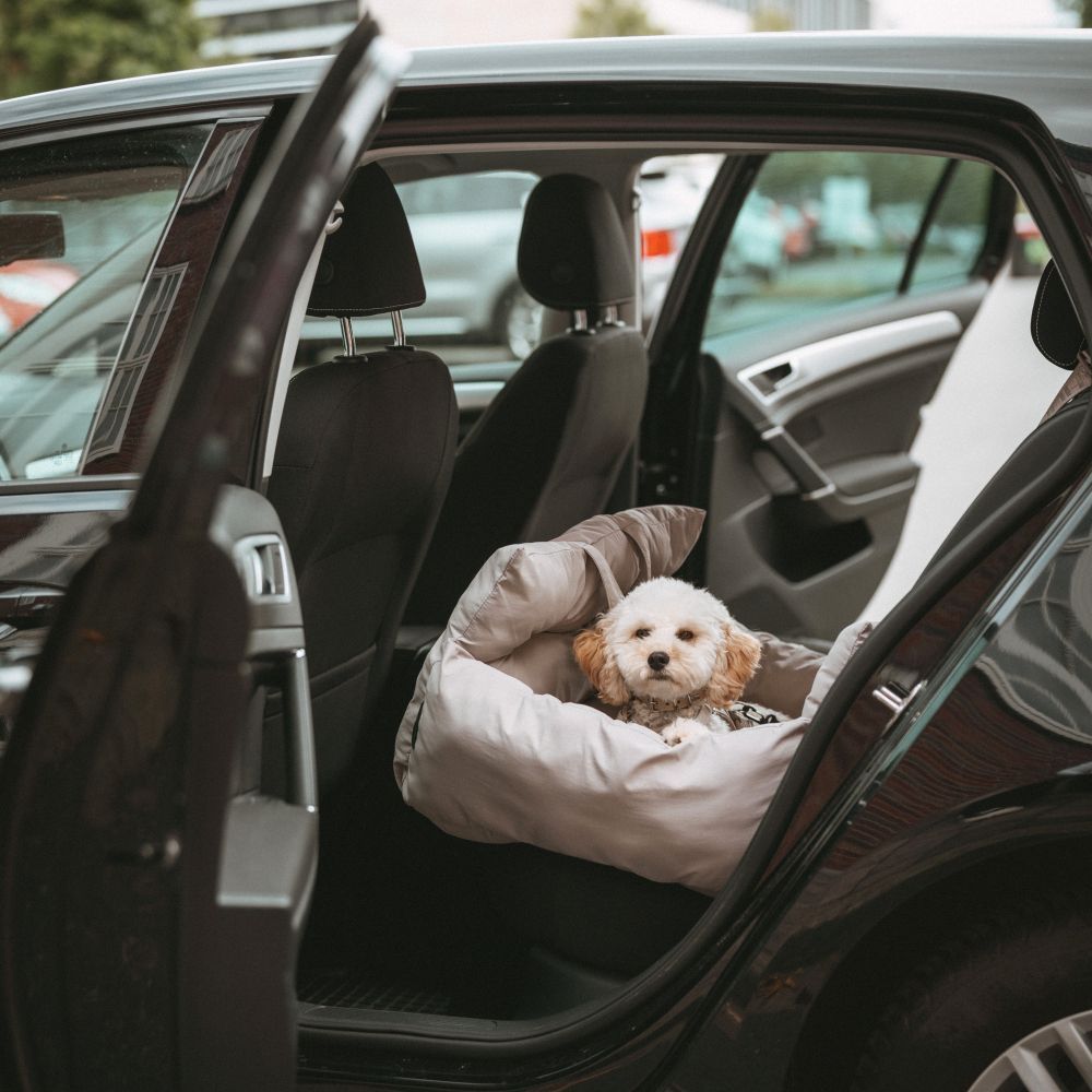 Hunter Seoul 2-in-1 автокрісло для собак 50х50х30 см - сірий Hunter Seoul 2-in-1 автокрісло для собак 50х50х30 см - сірий