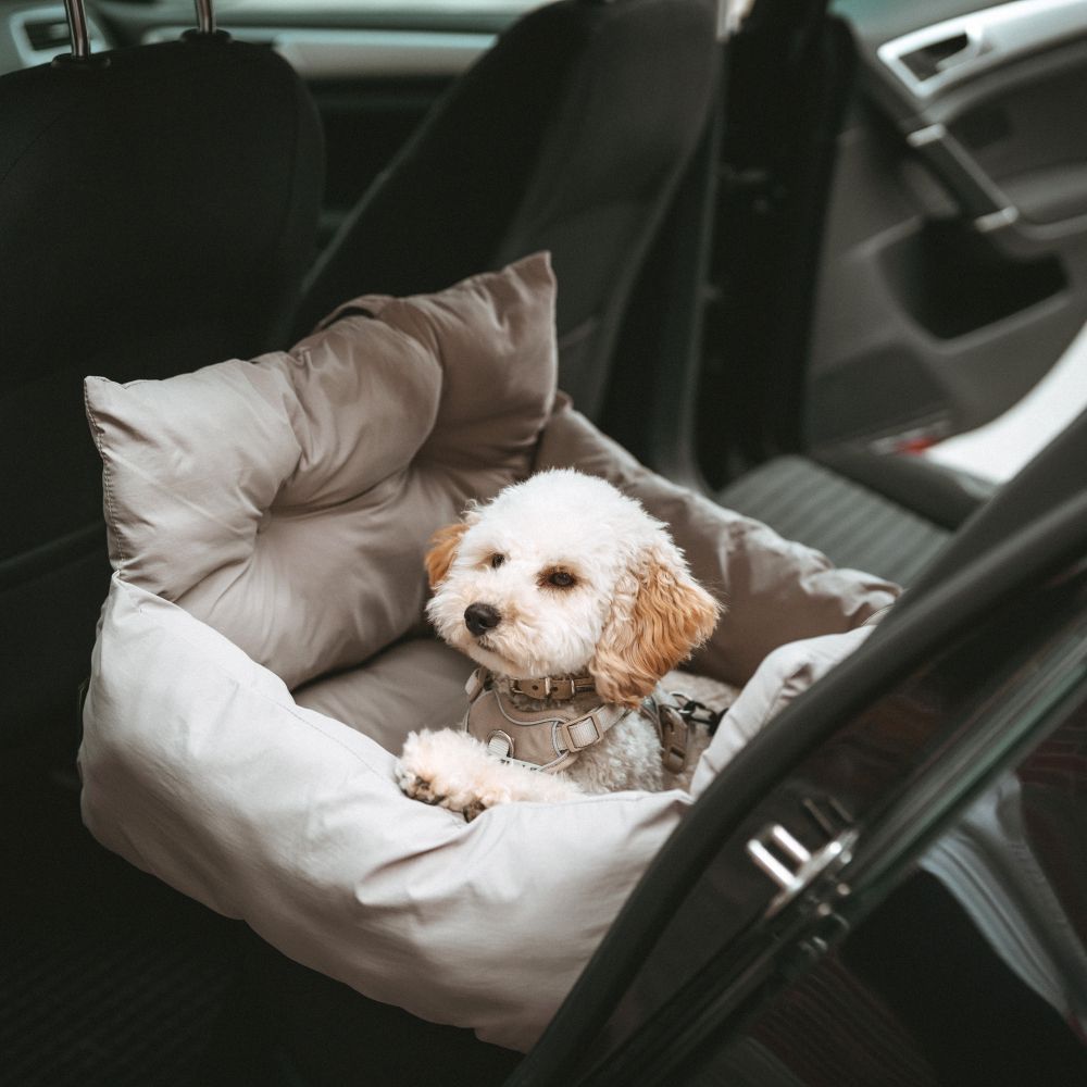 Hunter Seoul 2-in-1 автокрісло для собак 50х50х30 см - сірий Hunter Seoul 2-in-1 автокрісло для собак 50х50х30 см - сірий