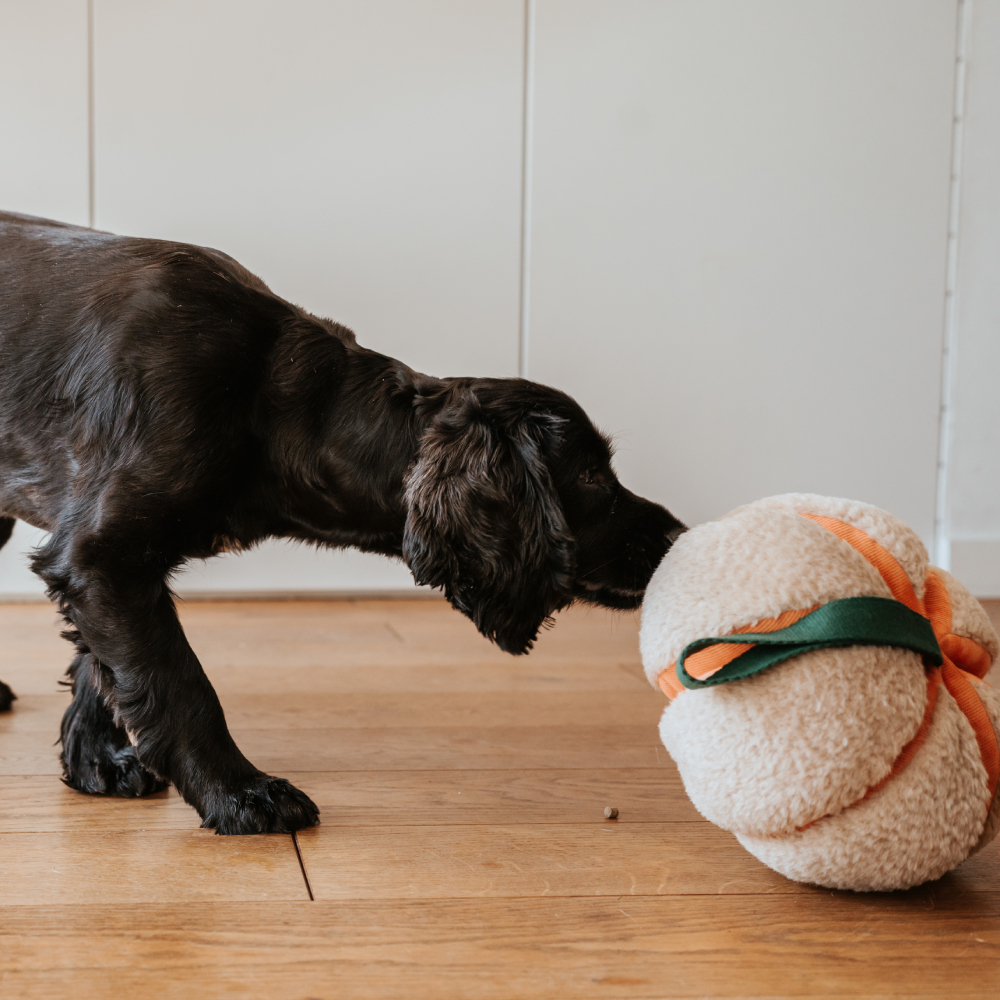 Hunter Гарбуз іграшка для собак 22 см - помаранчевий