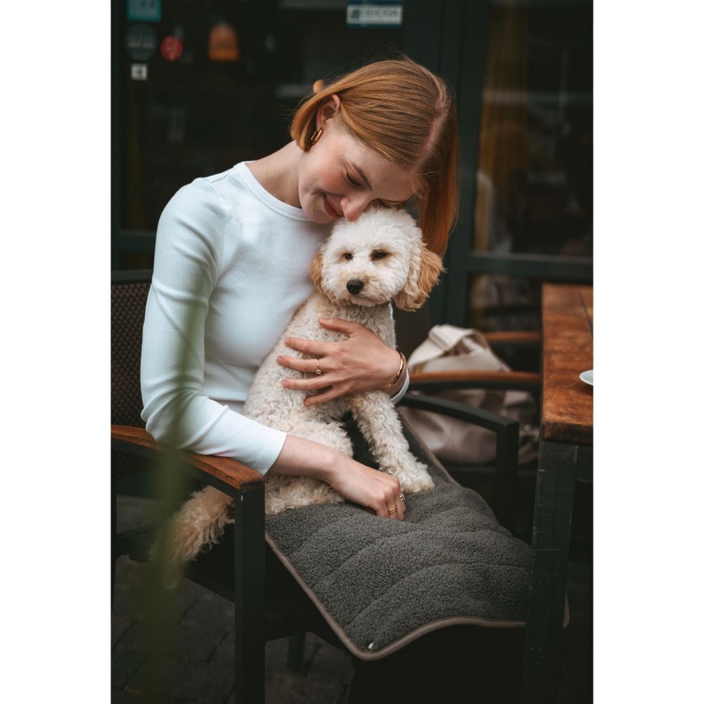 Hunter Seoul 2-in-1 сумка-переноска для собак 45х22х24 см - серый Hunter Seoul 2-in-1 сумка-переноска для собак 45х22х24 см - серый