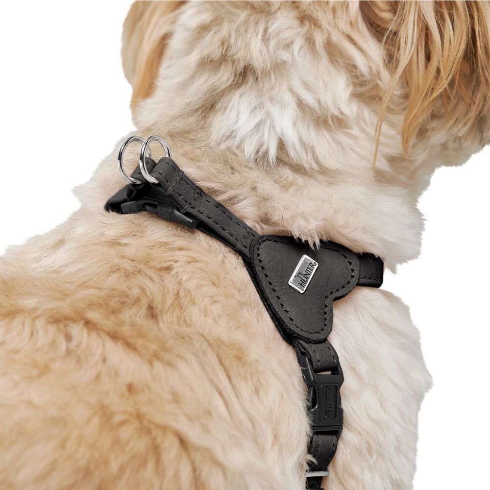 Hunter Soho Mini шлея для собак XXS-XS - черный Hunter Soho Mini шлея для собак XXS-XS - черный