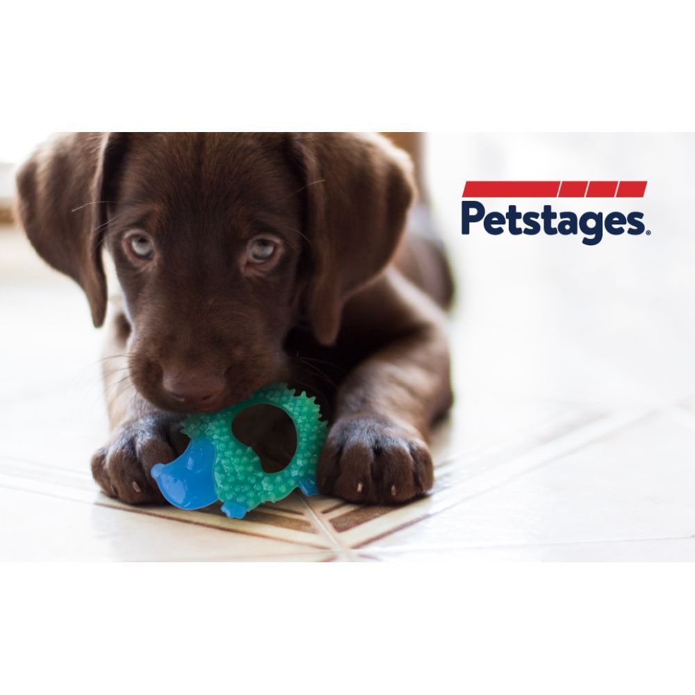 Іграшка для собак Petstages Cutie Chewies Hedgehog 8.5 х 13 х 1.5 см