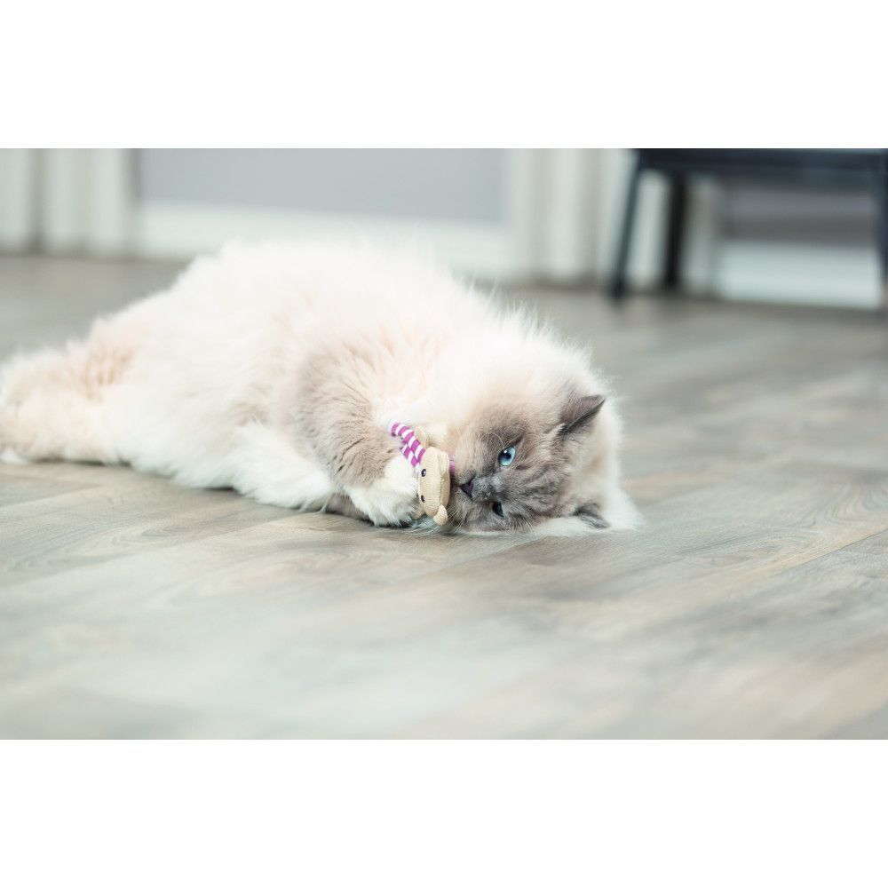 Іграшка для котів Trixie Ведмідь з котячою м'ятою 12 см - кольори в асортименті Іграшка для котів Trixie Ведмідь з котячою м'ятою 12 см - кольори в асортименті