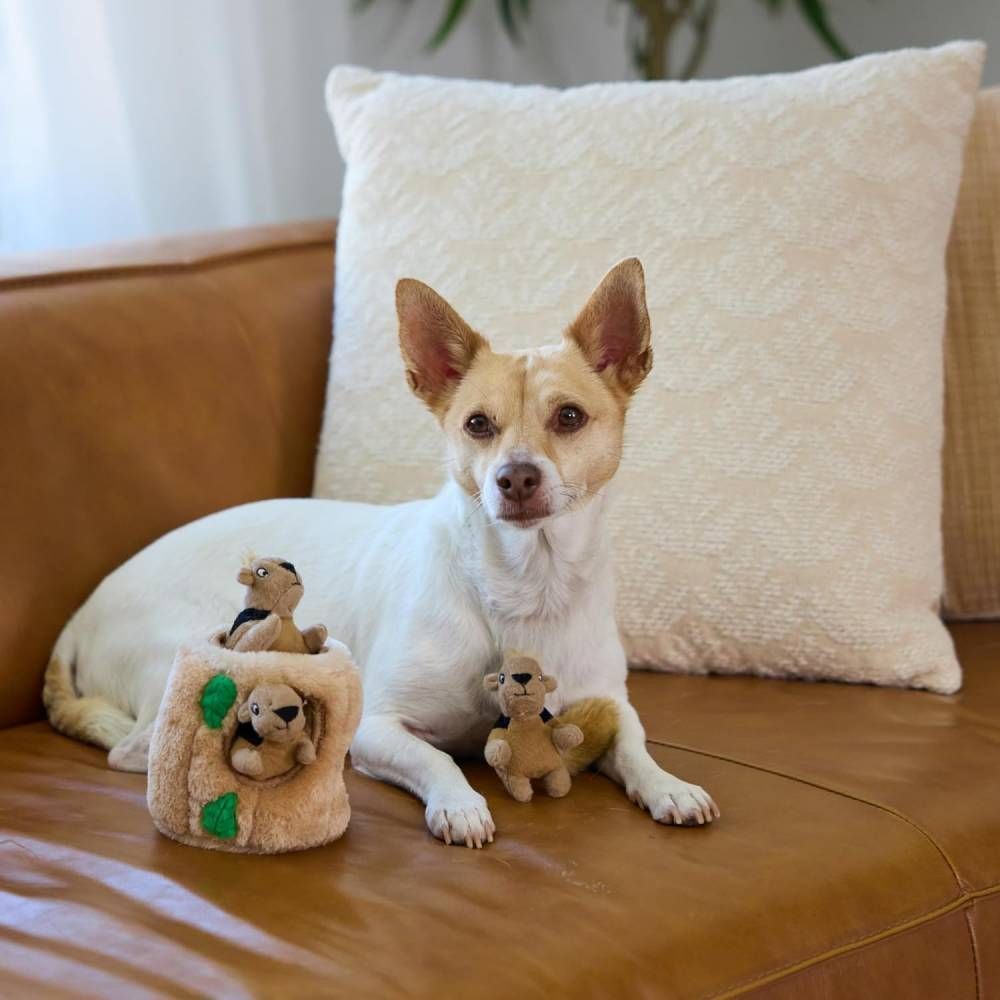Іграшка для собак Outward Hound Hide-A-Squirrel S 11,5 см