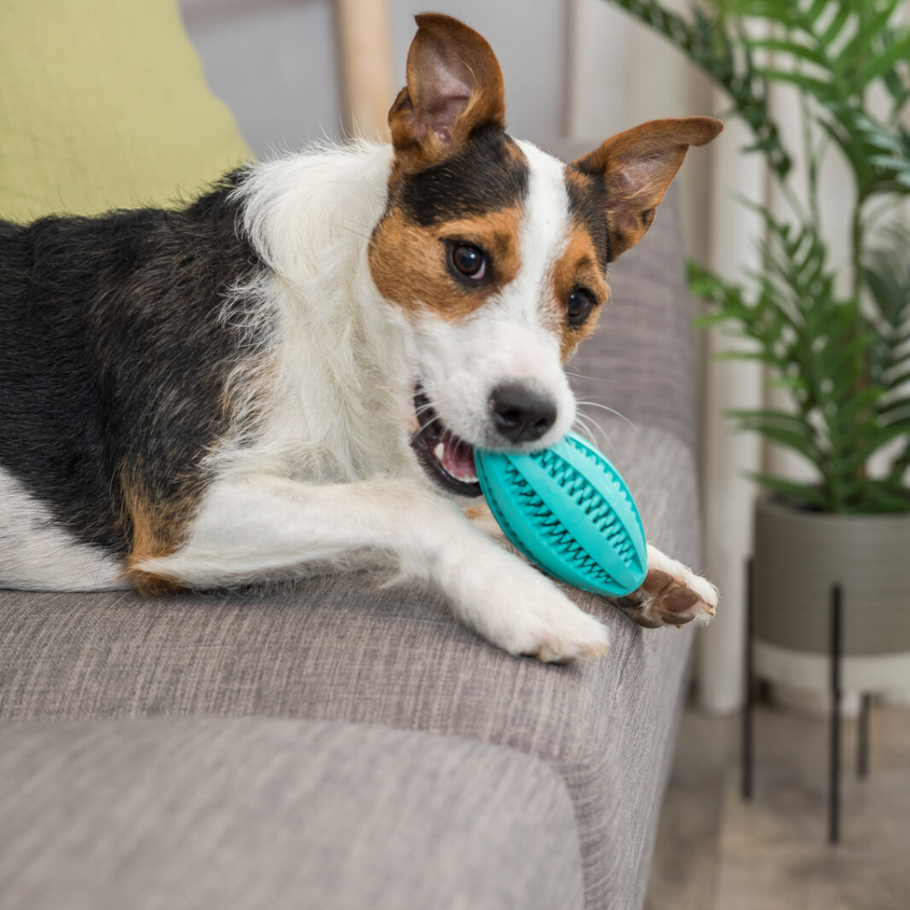 Trixie Denta Fun Rugby Ball іграшка для собак 11 см - блакитний