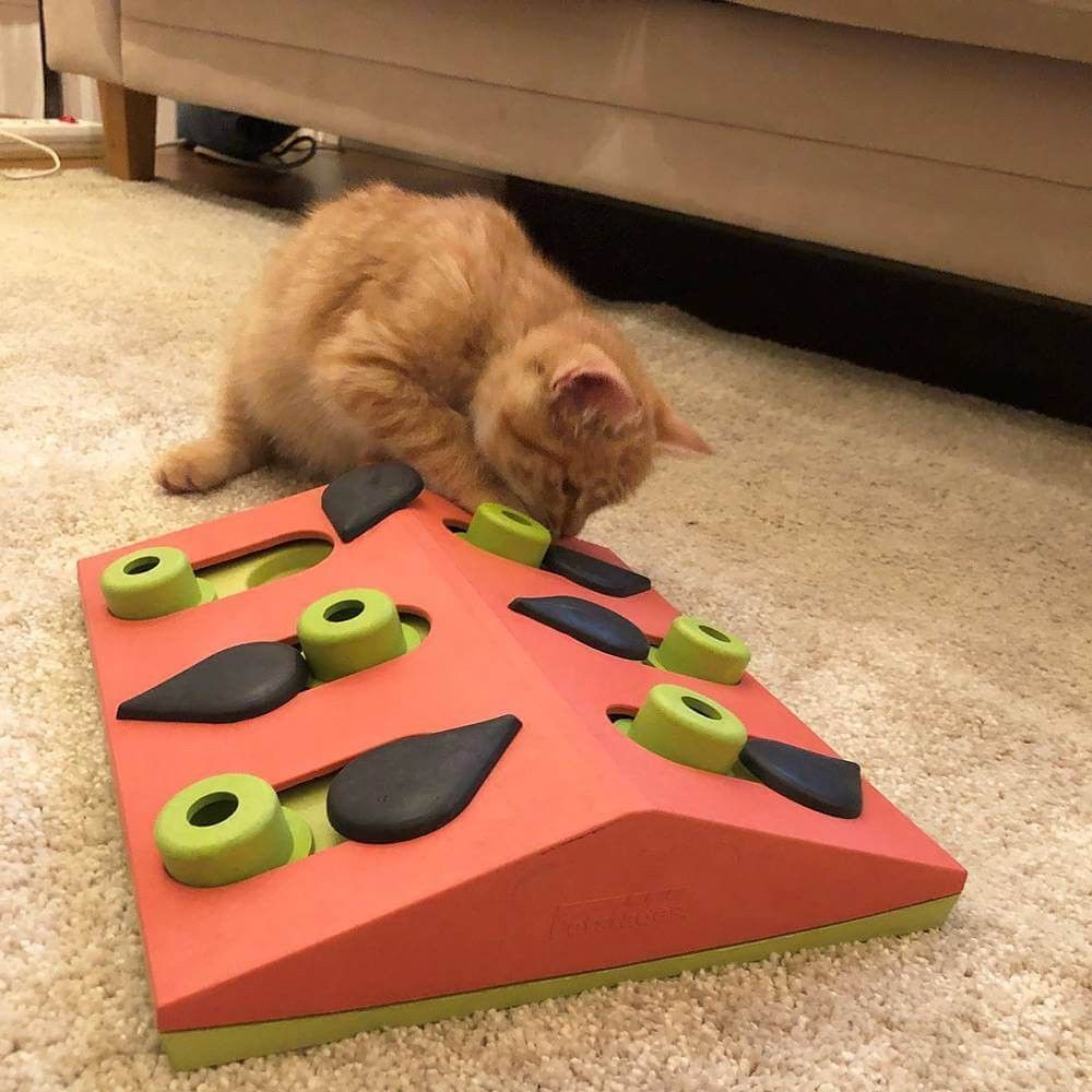 Nina Ottosson Puzzle & Play Melon Madness іграшка для котів 26,6x7x26,5 см - різнокольоровий