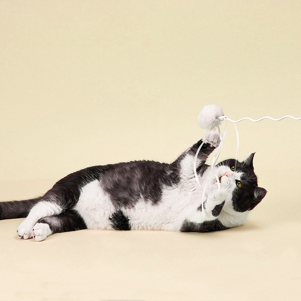 Іграшка для котів Petkit Cat Wand 65 см Іграшка для котів Petkit Cat Wand 65 см
