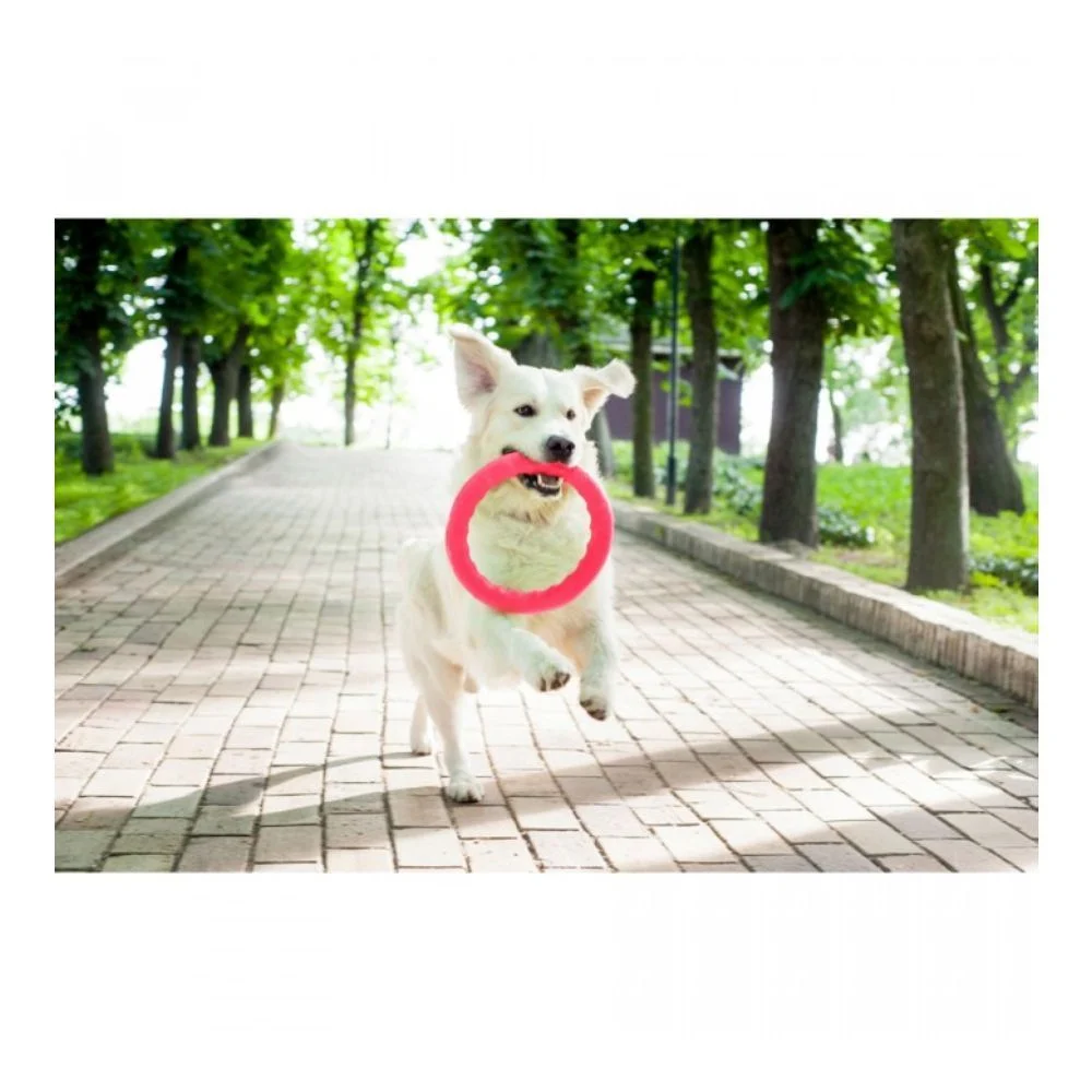 Іграшка для собак COLLAR PitchDog Кільце 20 см Іграшка для собак COLLAR PitchDog Кільце 20 см