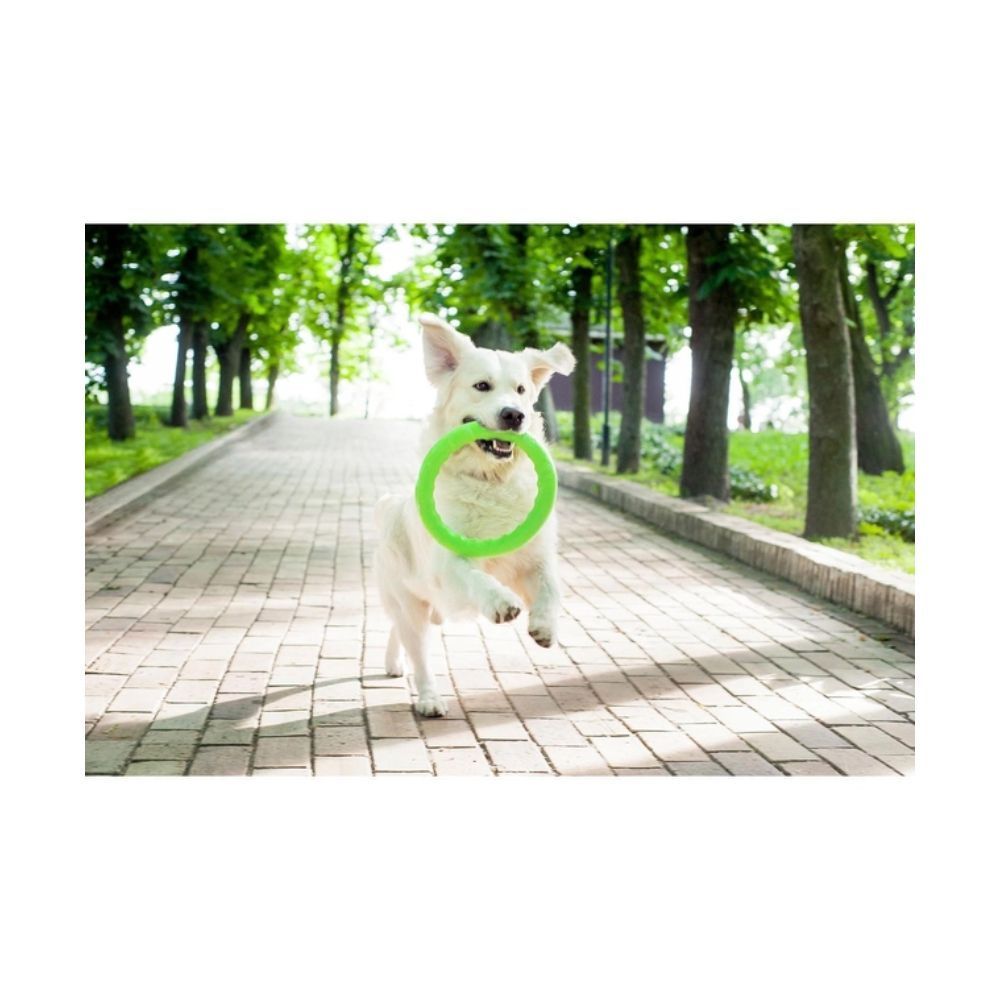 Іграшка для собак COLLAR PitchDog Кільце 30 см Іграшка для собак COLLAR PitchDog Кільце 30 см