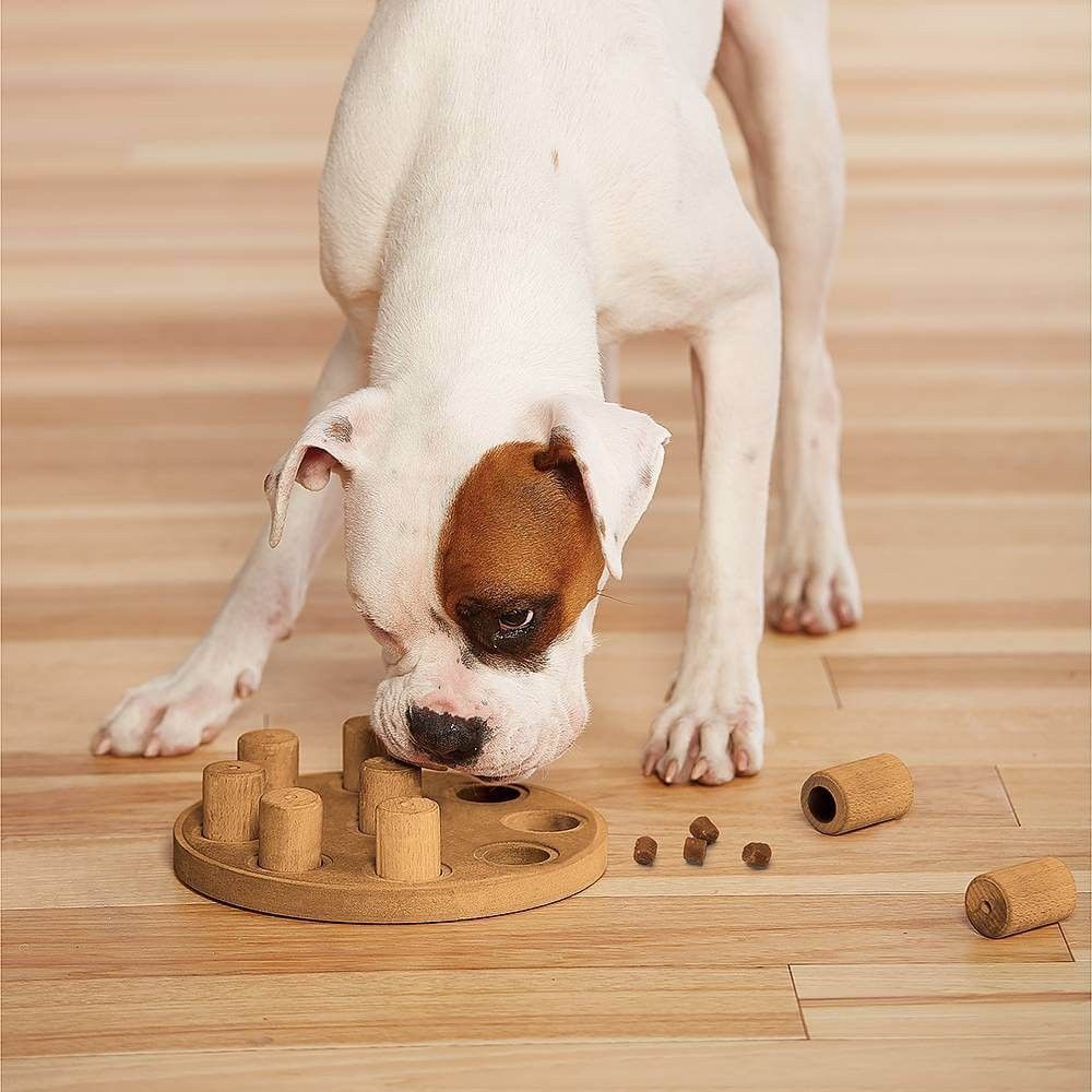 Nina Ottosson Dog Smart Composite іграшка для собак 23 см - бежевий