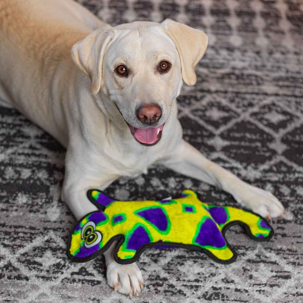 Іграшка для собак Outward Hound Invincibles Gecko M