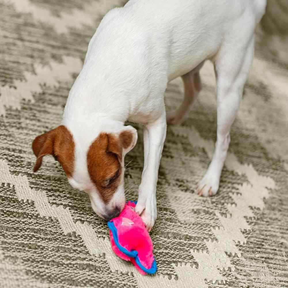 Іграшка для собак Outward Hound Durablez S 20 см