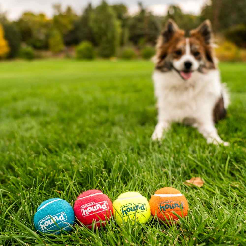 Іграшка для собак Outward Hound Squeaker Ballz SM 5 см 4 шт