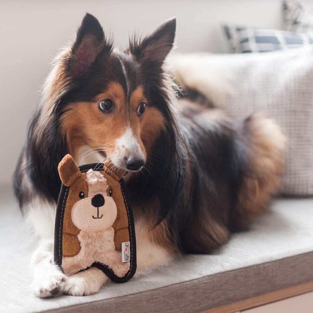Іграшка для собак Outward Hound Invincibles Mini Puppy S 20 см