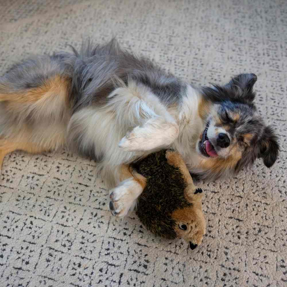 Іграшка для собак Outwardhound Hedgehogz Squeaky Plush S