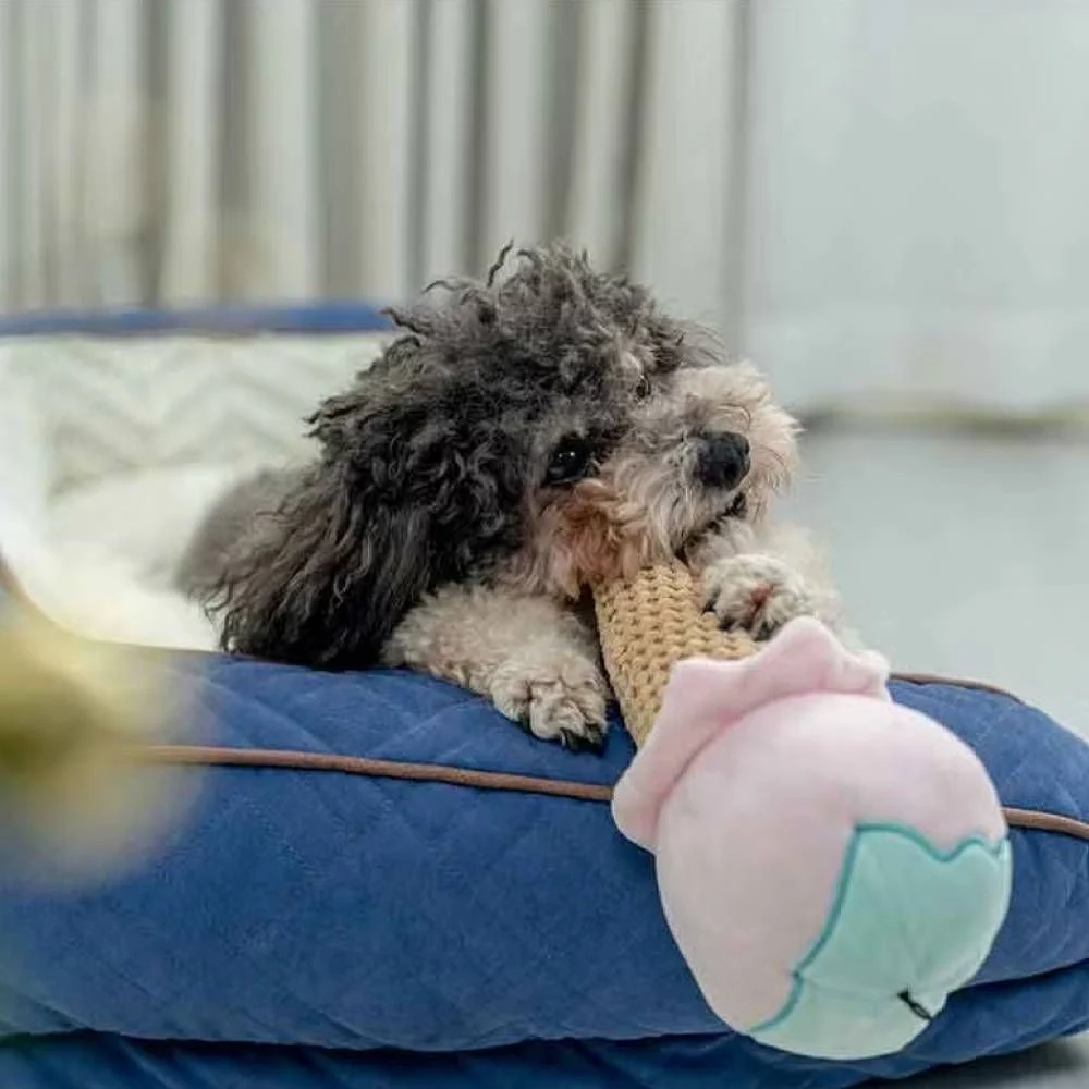 Іграшка для собак Pet Fun Морозиво 24 см