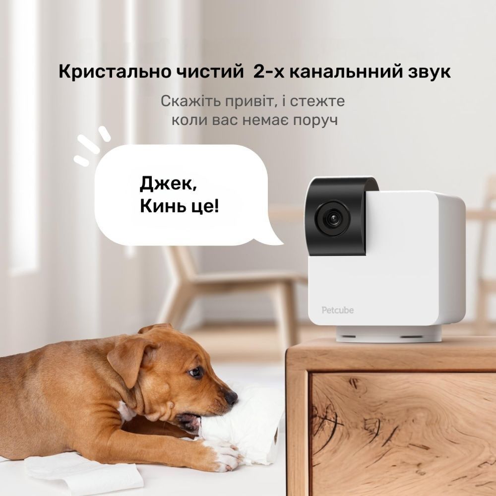 Інтерактивна HD-камера Petcube Cam 360 відеоспостереження за собаками Інтерактивна HD-камера Petcube Cam 360 відеоспостереження за собаками