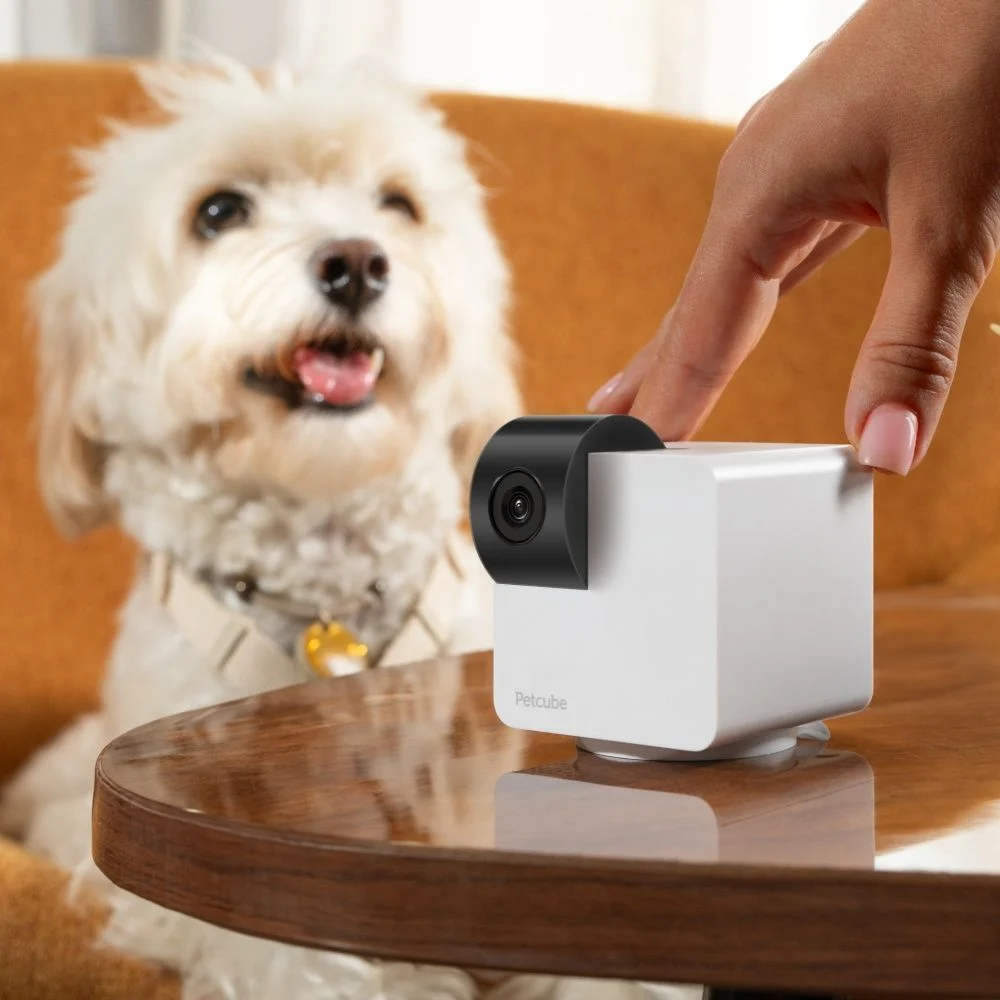 Інтерактивна HD-камера Petcube Cam 360 відеоспостереження за собаками Інтерактивна HD-камера Petcube Cam 360 відеоспостереження за собаками