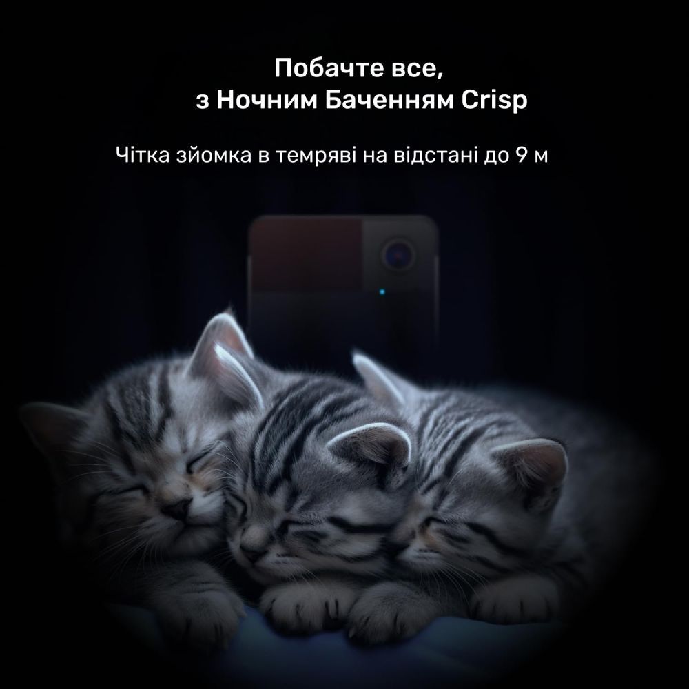 Інтерактивна HD-камера Petcube Play 2 відеоспостереження за собаками Інтерактивна HD-камера Petcube Play 2 відеоспостереження за собаками