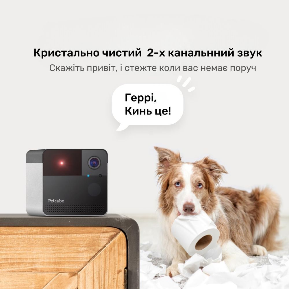 Інтерактивна HD-камера Petcube Play 2 відеоспостереження за собаками Інтерактивна HD-камера Petcube Play 2 відеоспостереження за собаками