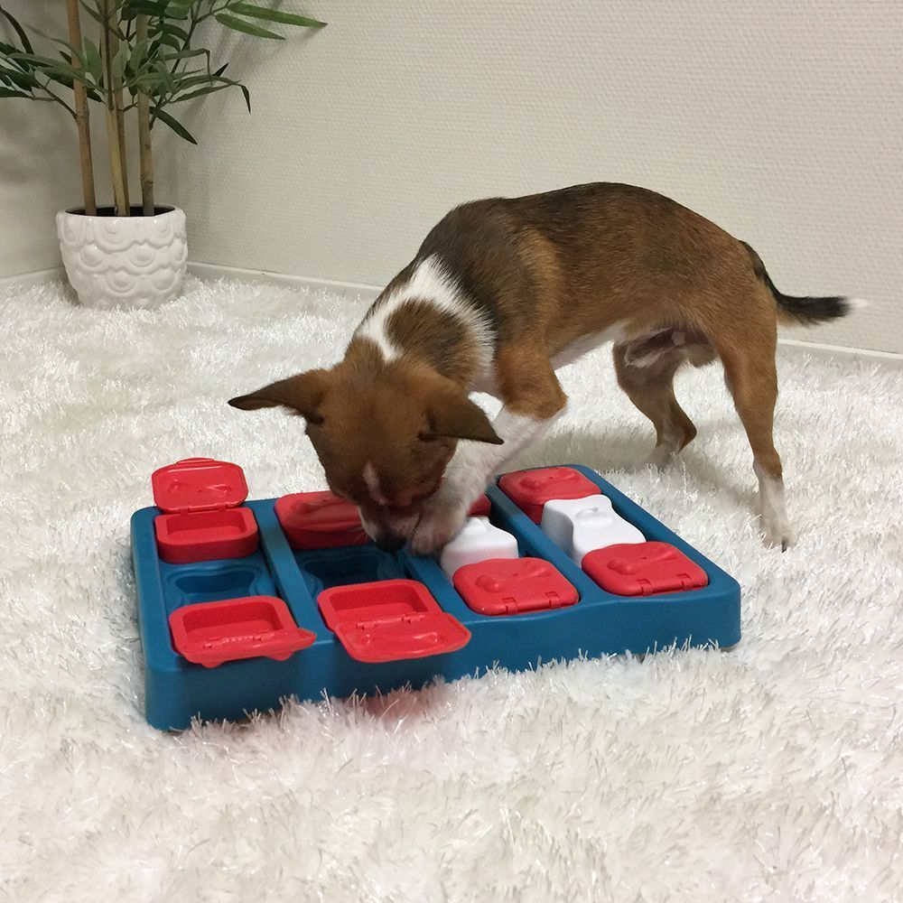 Nina Ottosson Dog Brick іграшка для собак 21х31,5х4 см - різнокольоровий
