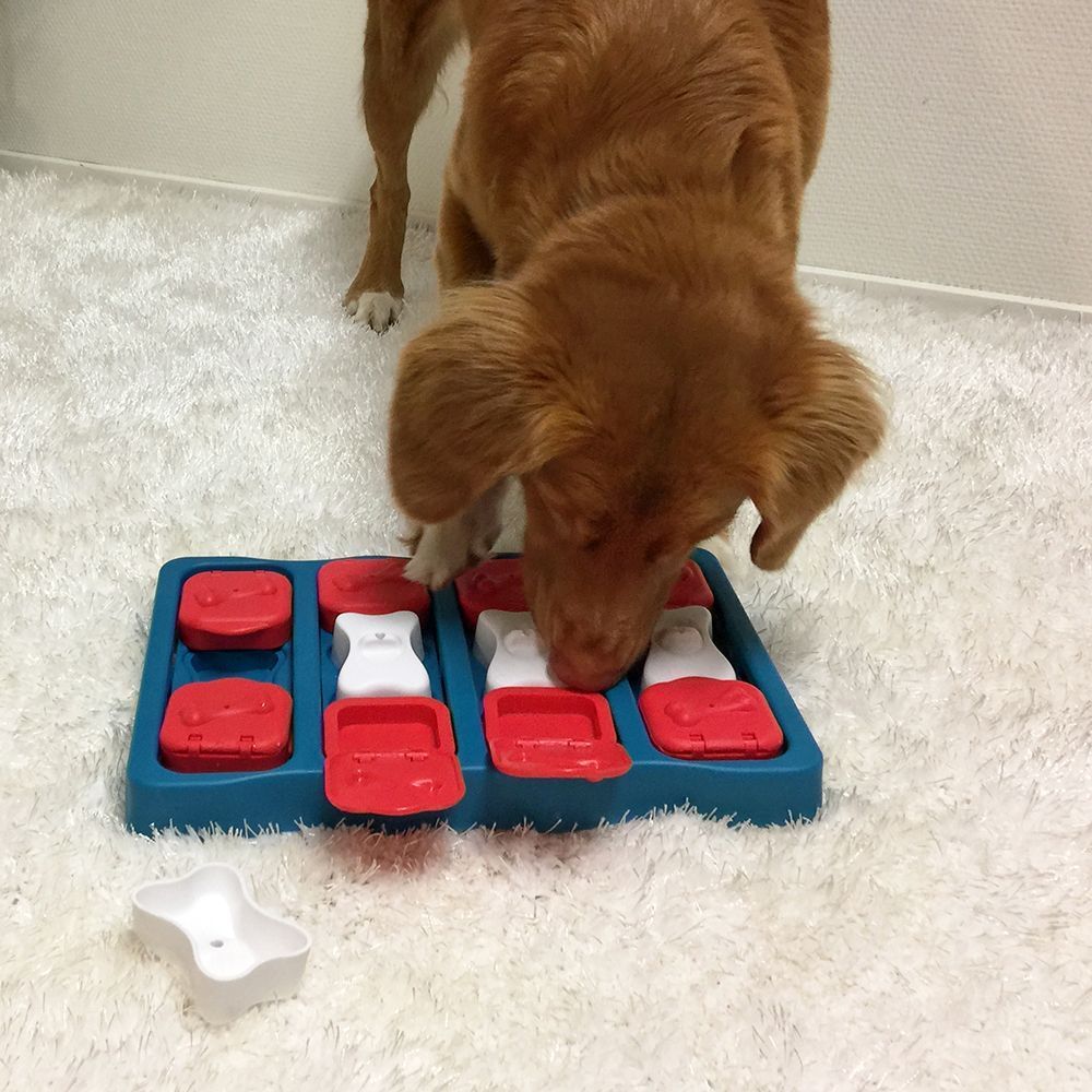 Nina Ottosson Dog Brick іграшка для собак 21х31,5х4 см - різнокольоровий