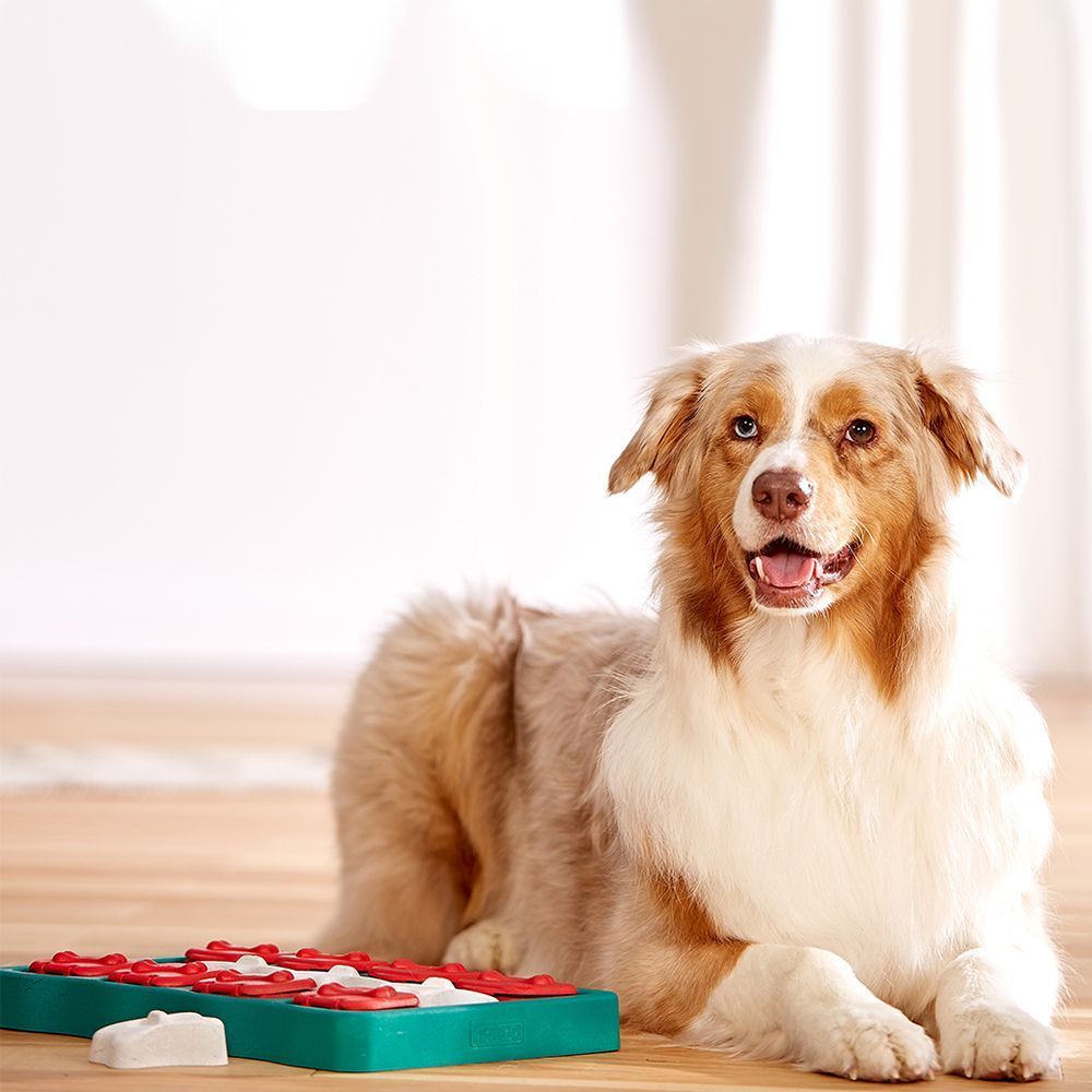 Nina Ottosson Dog Brick іграшка для собак 21х31,5х4 см - різнокольоровий