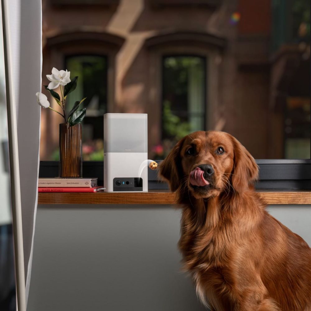 Petcube Bites 2 lite інтерактивна камера-годівниця для собак - білий