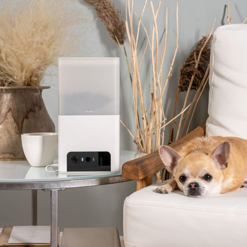 Petcube Bites 2 lite інтерактивна камера-годівниця для собак - білий