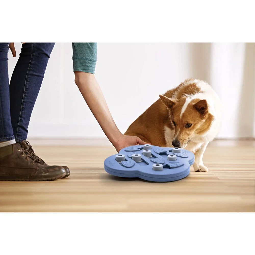 Nina Ottosson Dog Hide N' Slide іграшка для собак 33x33х5 см - синій