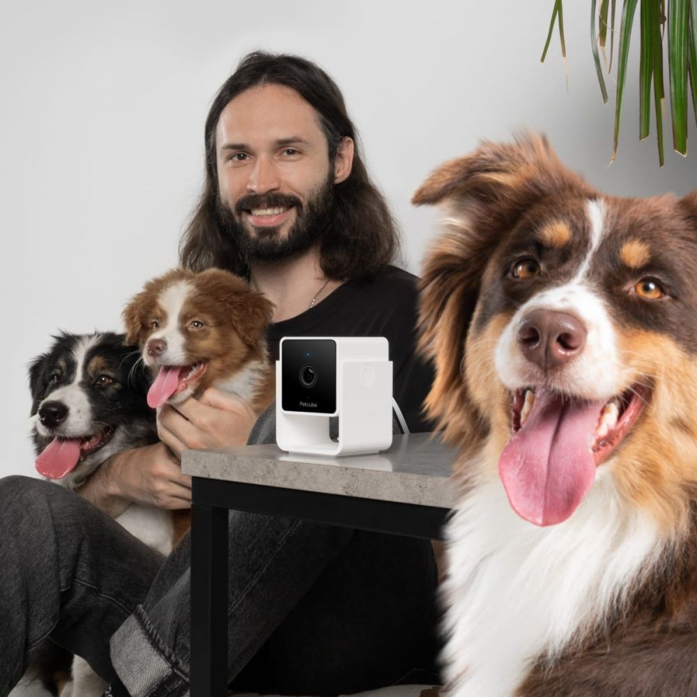 Камера відеоспостереження Petcube Cam за собаками Камера відеоспостереження Petcube Cam за собаками
