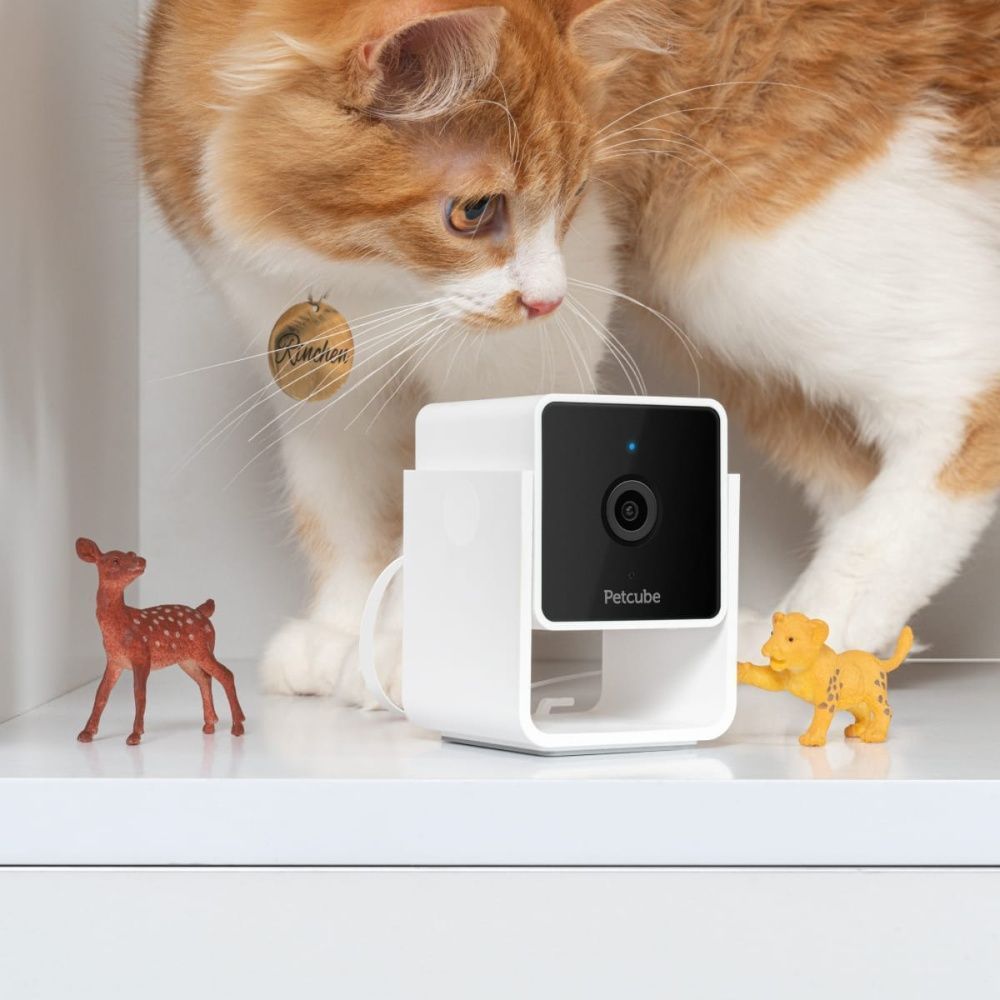 Камера відеоспостереження Petcube Cam за собаками Камера відеоспостереження Petcube Cam за собаками