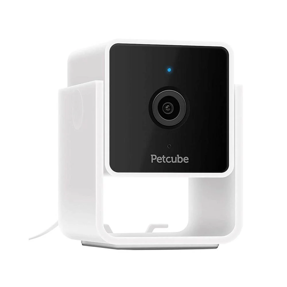 Камера відеоспостереження Petcube Cam за собаками Камера відеоспостереження Petcube Cam за собаками
